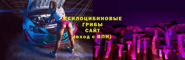 СК Абаза